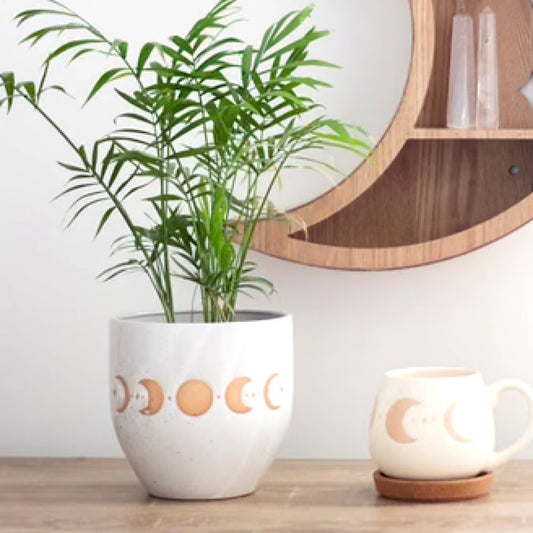 Moon Phase Plant Pot - Wicked Witcheries