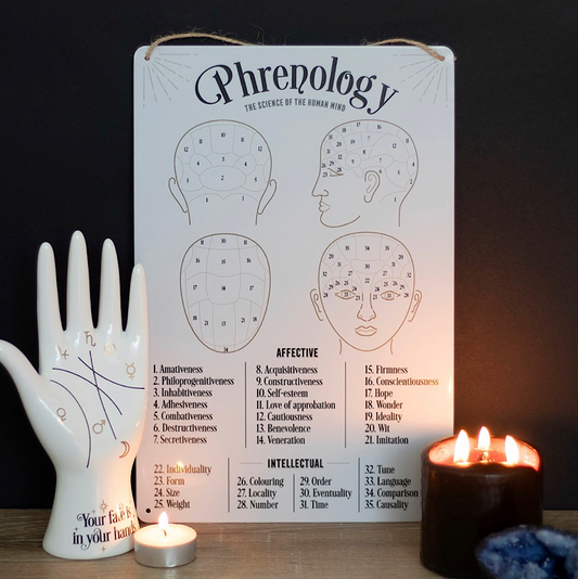 Phrenology Map Metal Sign - Wicked Witcheries