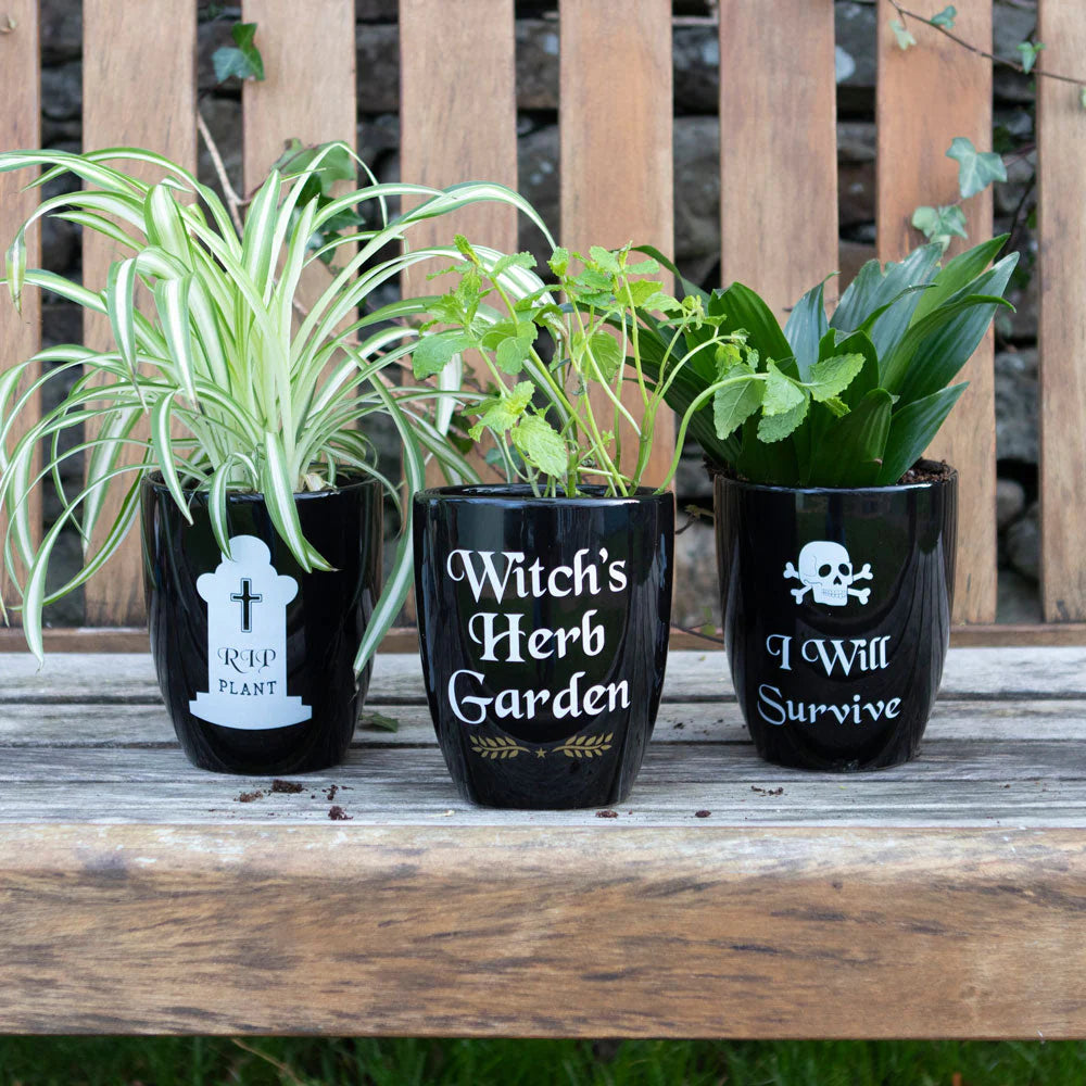 Witch's Herb Garden Plant Pot - Wicked Witcheries