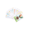 Loteria Remedios Oracle Cards - Wicked Witcheries