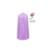 Calming Crystal Candle with Rough Amethyst - Wicked Witcheries