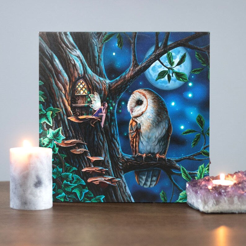 Fairy Tales Light Up Canvas Plaque by Lisa Parker - Wicked Witcheries