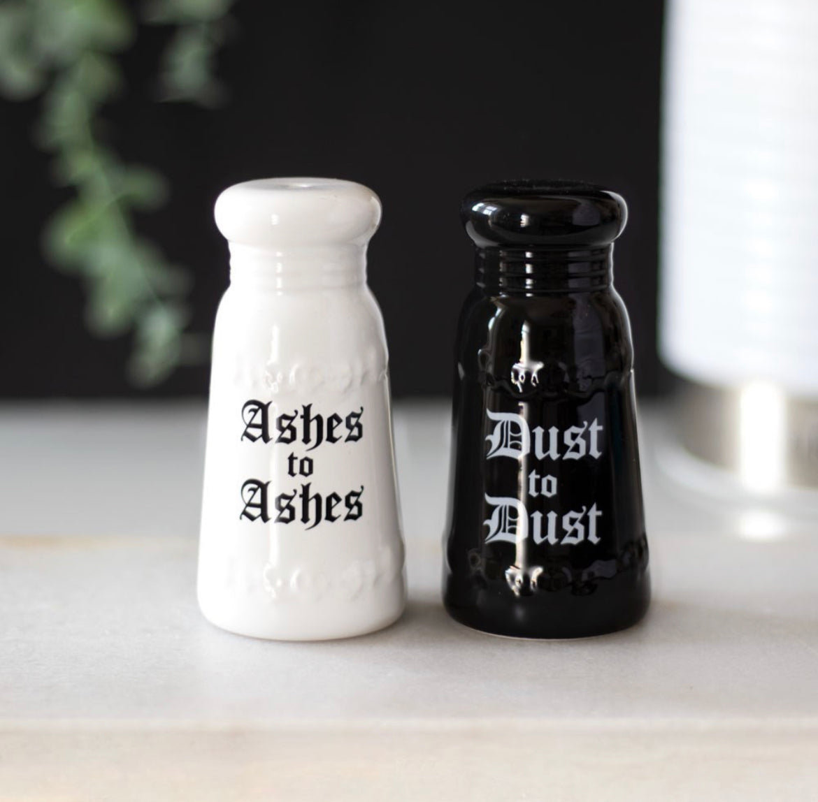 Ashes to Ashes Salt and Pepper Set - Wicked Witcheries