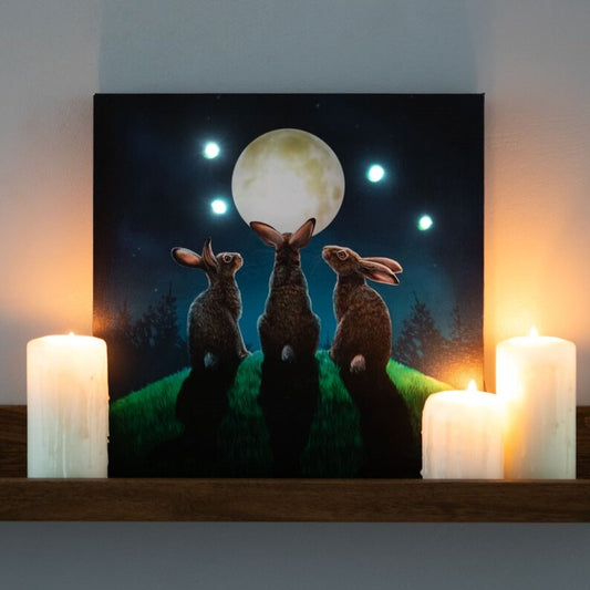 Moon Shadows Light Up Canvas Plaque by Lisa Parker - Wicked Witcheries