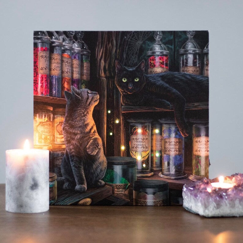 Magical Emporium Light Up Canvas Plaque by Lisa Parker - Wicked Witcheries