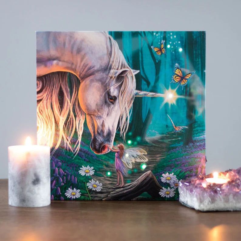 Fairy Whispers Light Up Canvas Plaque by Lisa Parker - Wicked Witcheries