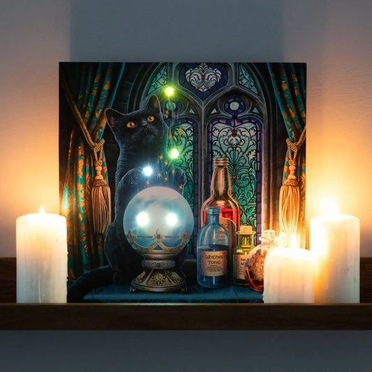 The Witches Apprentice Light Up Canvas Plaque by Lisa Parker - Wicked Witcheries