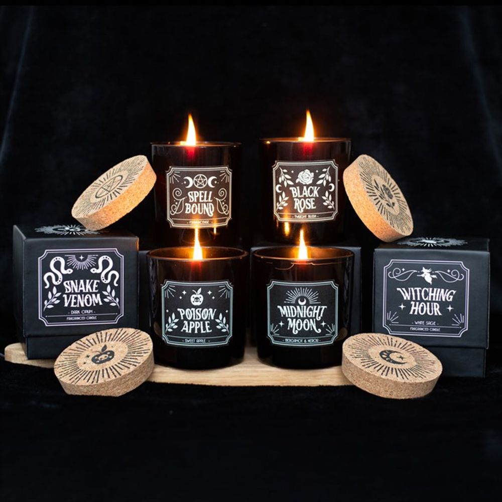 Set of 6 Midnight Ritual Candles - Wicked Witcheries